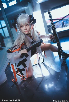 Arknights Cerea @w Lily Europe Prince w (9 ảnh)