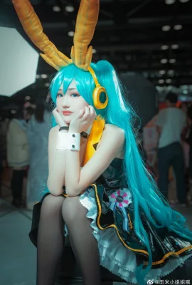Hatsune Miku Bunny Girl @corn小丝 Oh (9 ảnh)