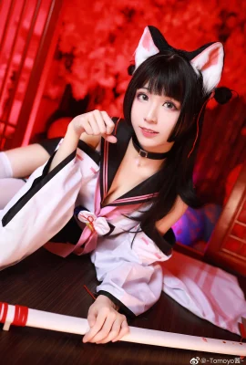 Azur Lane棭@-Tomoyo- (9 ảnh)