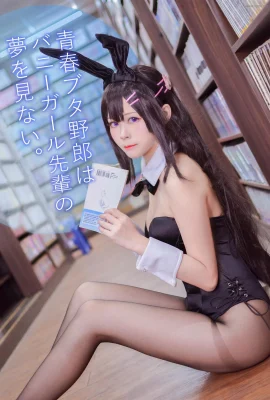 Arty 亚缇@Mai Sakurajima Bunny
