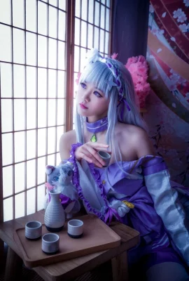 “Re:Zero Bắt đầu cuộc sống ở thế giới khác” Emilia Cosplay[CN: Laura](8 ảnh)