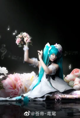 Hatsune Miku@青帝-iris(10 ảnh)