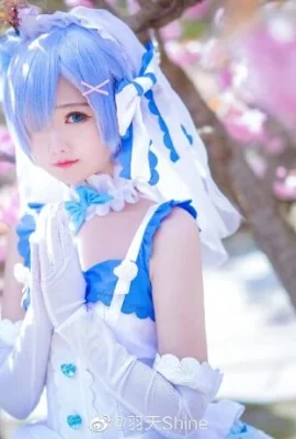 Từ đầu, Rem Hanayo cos, cn Yutian Shine dễ thương và dễ thương (12 ảnh)