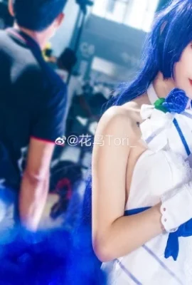 Honkai Impact 3 Raiden Meiyi@花鸟Tori_ (Fifly Animation and Game Carnival) (9 ảnh)