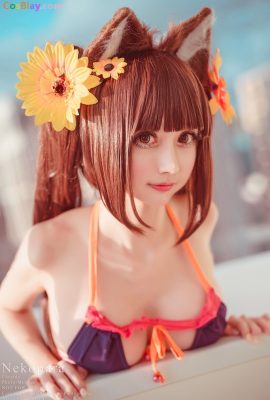 Okita Rinka – Áo tắm sô cô la