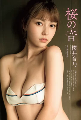 (Sakurai Otono) “Bộ ngực trắng nõn và dịu dàng của cô gái ngực bự” tràn ngập hương thơm sữa (11 Ảnh)