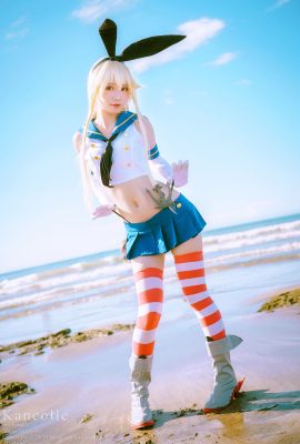 Búp bê tương tự – Shimakaze