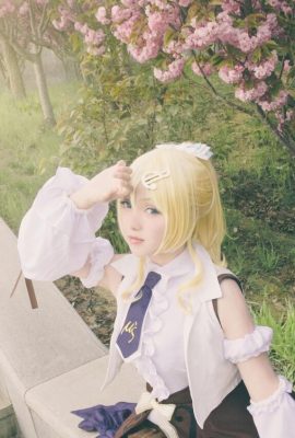 (Thanh lịch và dịu dàng) LOVELVE Ayase Eri