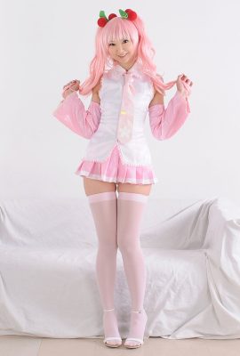 Necoco – Sakura Miku