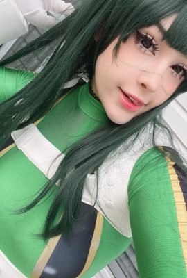 Junkenstein – Bộ đồ anh hùng Froppy