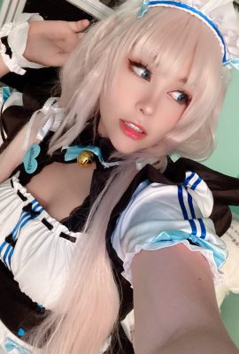 Junkenstein – Vani