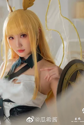 FGO Valkyrie Slud@guaxijiang(9 ảnh)