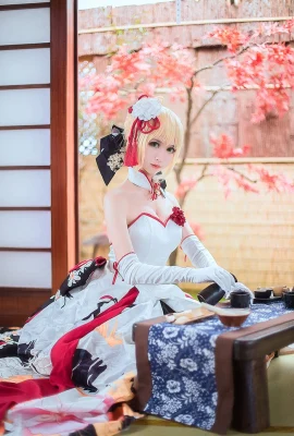 Fate/Grand Order Arturia Pendragoncn: Eel Feier (13 ảnh)