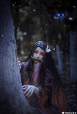 Sát quỷ: Kimetsu no Yaiba Nezuko @Tsundere Hunting Snow (9 ảnh)