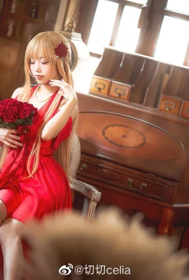 Sword Art Online Asuna @奇奇celia (9 ảnh)