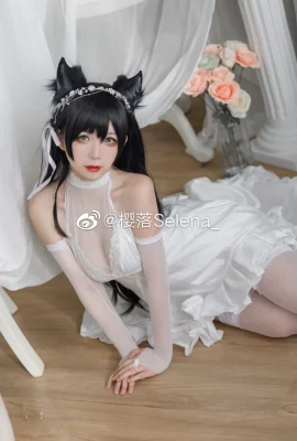 Azur Lane Atago @ Sakura Fall Selena_ (10 ảnh)