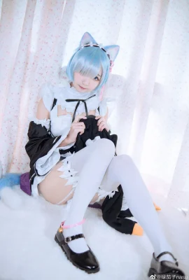 Re: Cuộc sống ở một thế giới khác với Zero Rem Cat Ears @Green Eggplant Nasu (9 ảnh)