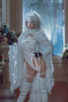 Shuimiao aqua đen trắng 2B