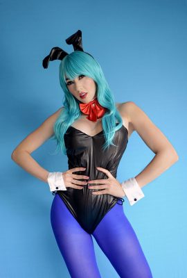 Haki – Thỏ Bulma