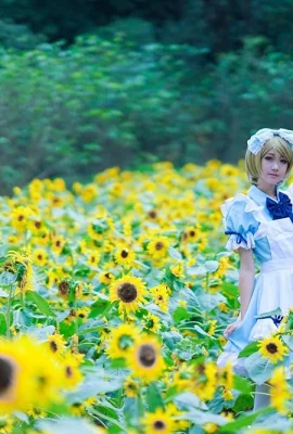 Gấu Shimada-LOVE LVE!COS Koizumi Kayo