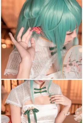 Hatsune Miku Shaohua@Cà tím xanh nasubi (9 ảnh)