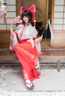 Lông mèo mật ong “Hakurei Reimu (Touhou Project)” (11 ảnh)