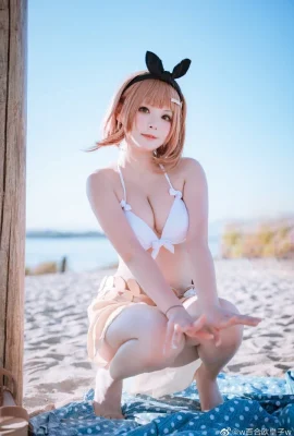 莱莎的炼金工房 莱莎泳装cos cn百合欧皇子 (9 photos)
