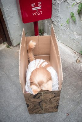 Meow-chan màu cam – Một ngày trong cuộc đời của Meow-chan (9P)
