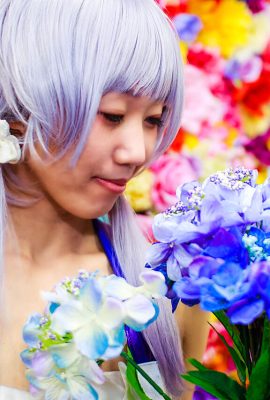 Bộ sưu tập ảnh cosplay Yuzuki Yukari