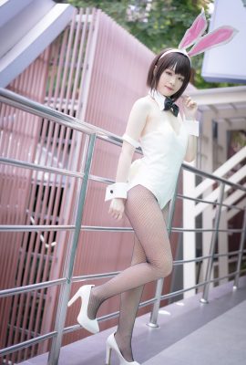MINTO Nii – Thỏ Kato Megumi