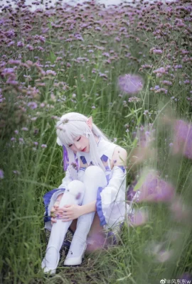 Re: Cuộc sống ở một thế giới khác với Zero Emilia Battle Suit @风东东w (10 ảnh)