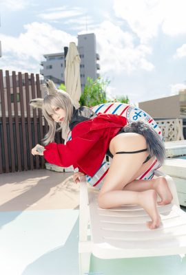 (Celia celia) Arknights Vermeil