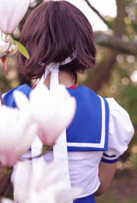 Anchirisu – Sakura