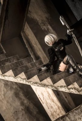 (Tako) NieR Automata 2B