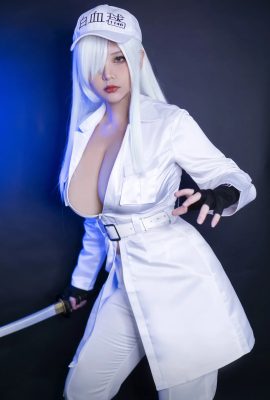 Hana Bunny – Bạch Cầu