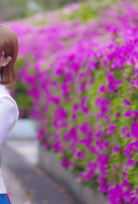 Nikukyu Ayato – Hanayo Koizumi