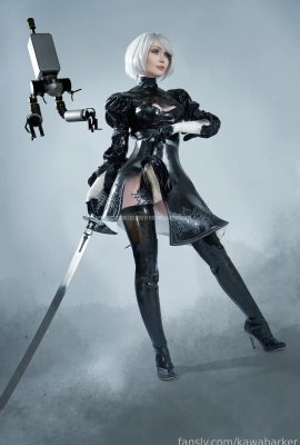 Zirael Rem – 2B mủ