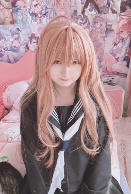 (Xidadai) Taiga Aisaka với GIF (Toradora) (được phân chia)