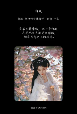 Bai Feng Yixuan