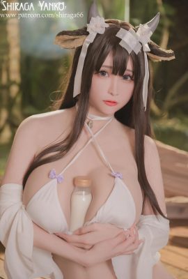 Shiraga Yanko – Kashino Azur Lane