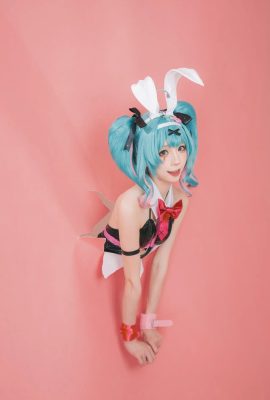 Kitaro_kitaro Miku Rabbit Hole