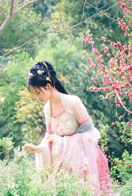 Hàng năm – Haitang Xian (84 ảnh)