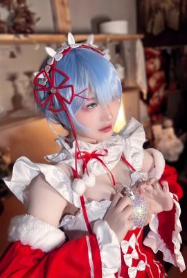 Fox – Xmas Rem