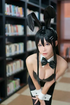 Anime Blogger yêu thích Giáo viên_PHD – Chị gái Bunny Girl (8 ảnh)